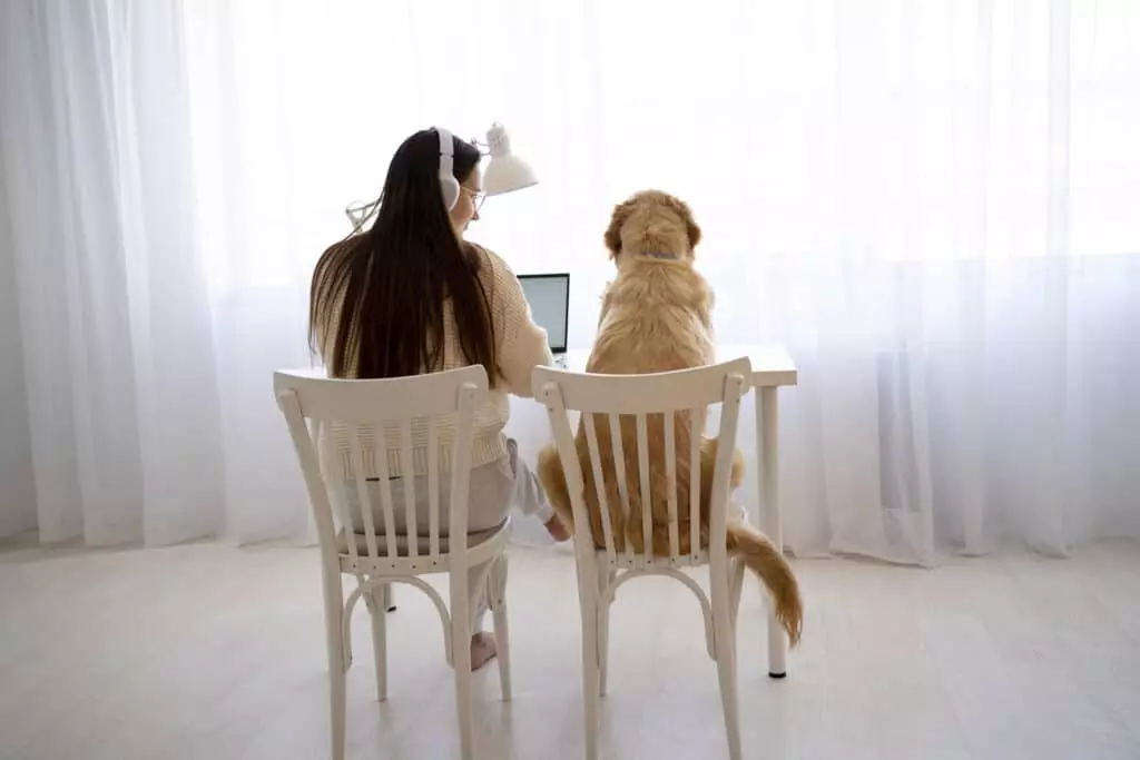 Rientro dalle Vacanze: Gestire lo Stress dei Pet con Serenità