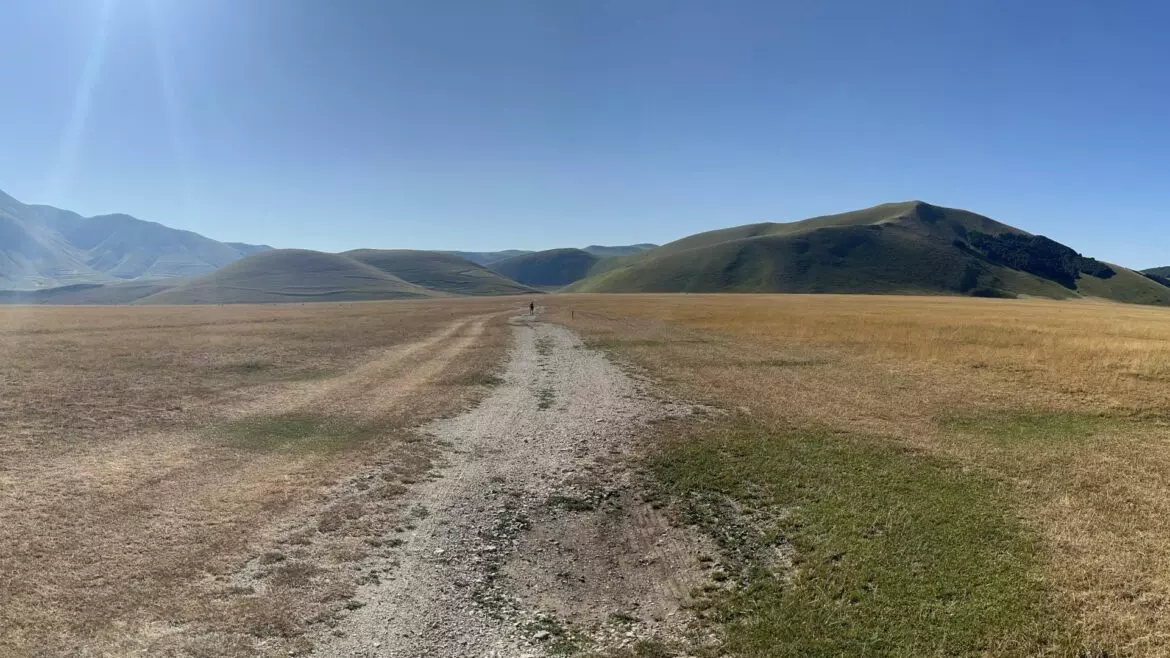 Cani da Soccorso e Operatori tra Speranza e Ricostruzione
