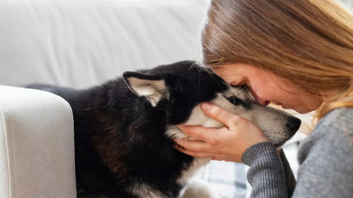 La Gratitudine Canina: Un Legame Profondo tra Uomo e Animale nel Giorno Mondiale della Gratitudine