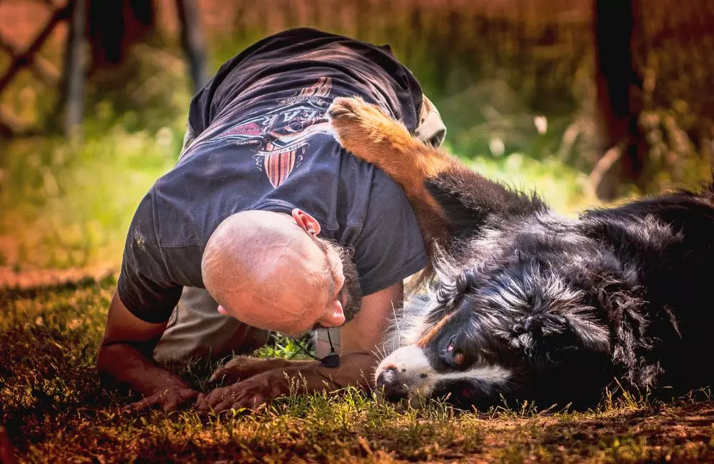 L'Arte di Giocare con il Tuo Amico a Quattro Zampe: Nuove Prospettive e Consigli Pratici
