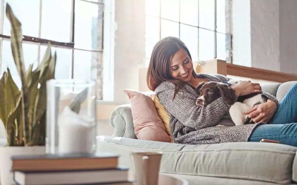Cani nel letto: un problema o un beneficio inaspettato?