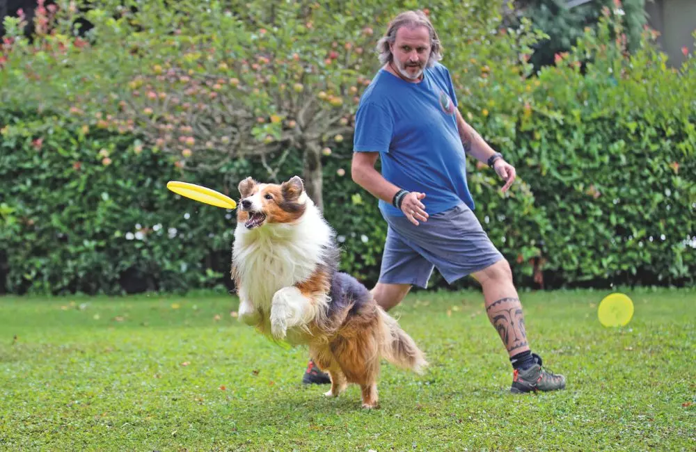 L'Armonia in Movimento: Scopri il Disc Dog, uno Sport Che Unisce Cane e Padrone
