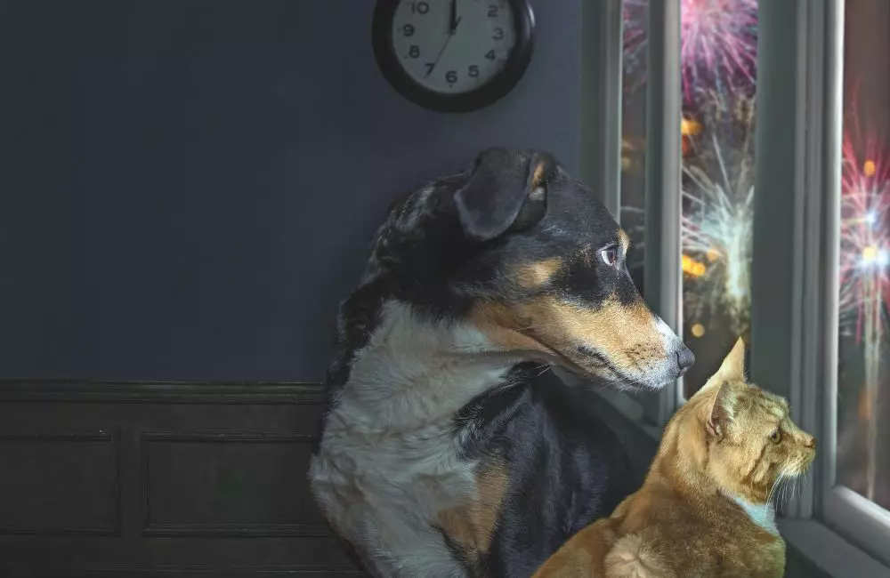 Celebrazioni di Capodanno e Benessere Animale: Strategie e Soluzioni Naturali