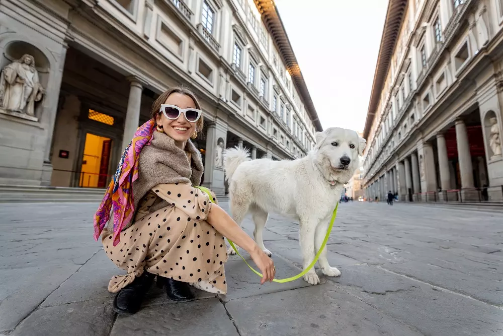 Cani nei Musei: Un'Esperienza Culturale Inclusiva per gli Amici a Quattro Zampe e i Loro Proprietari