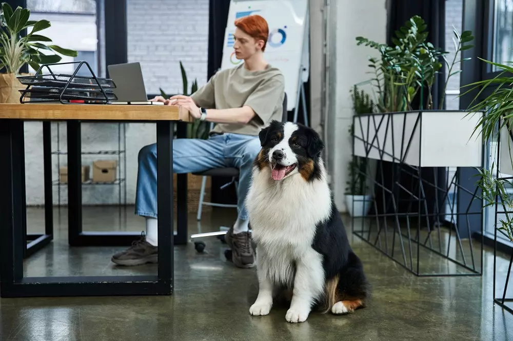 La Giornata del Cane in Ufficio: Benefici, Consigli e un Ambiente Lavorativo Migliore