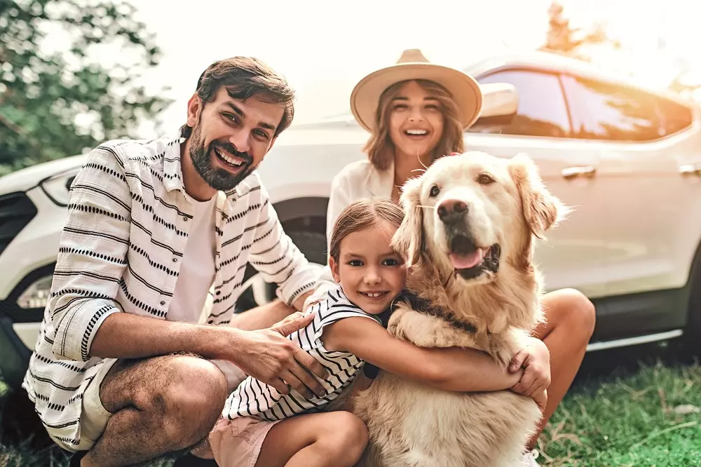 Viaggiare in Sicurezza con i Propri Animali Domestici: Guida Completa