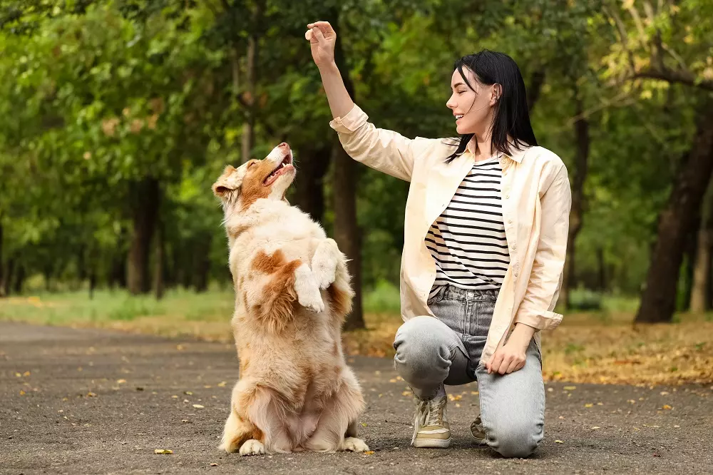 La scienza rivela i profondi vantaggi della convivenza con un cane