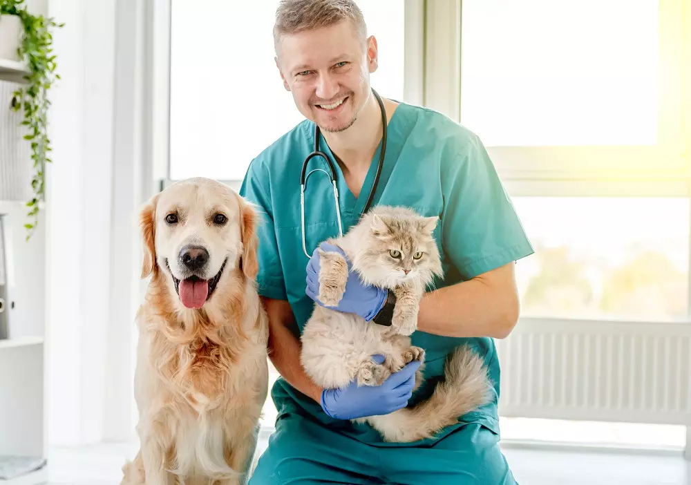 Servizio Veterinario Pubblico: Verso Cure Gratuite per gli Animali Domestici?