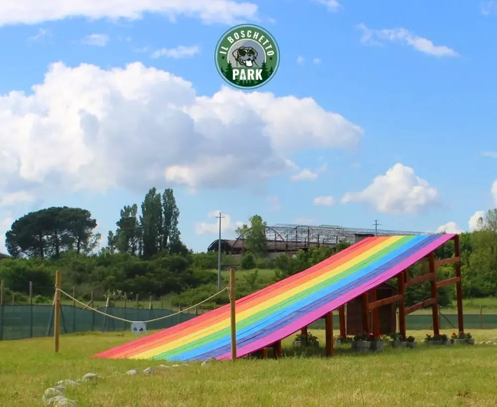 Il Ponte dell'Arcobaleno: Un Santuario in Italia per i Compagni Animali Perduti