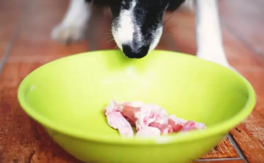 Alimentazione Whole-Prey e Frankenprey per Cani: Guida Completa