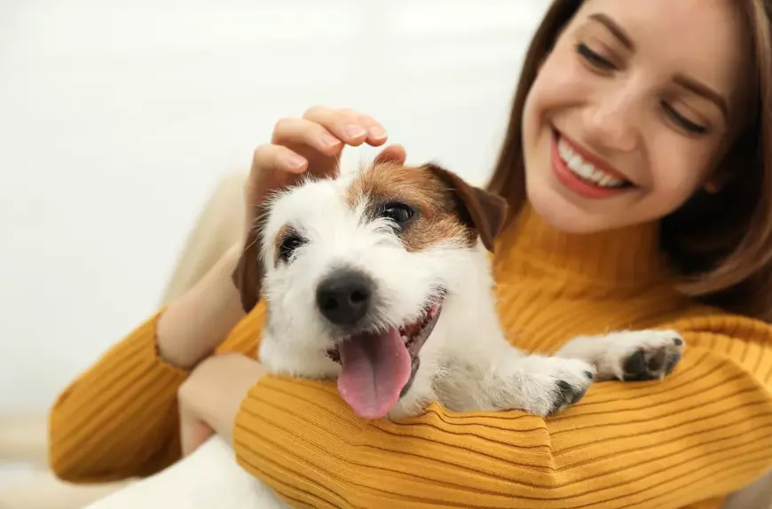 Vivere Sostenibile con i Compagni Animali: Armonia tra Benessere e Ambiente