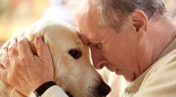 Adozione Responsabile e Vita Sostenibile per Animali Domestici: Una Guida Completa
