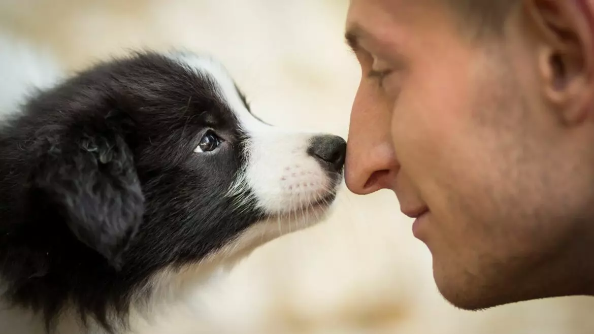 Come si forma e si rafforza il legame speciale tra cane e umano: un'analisi approfondita