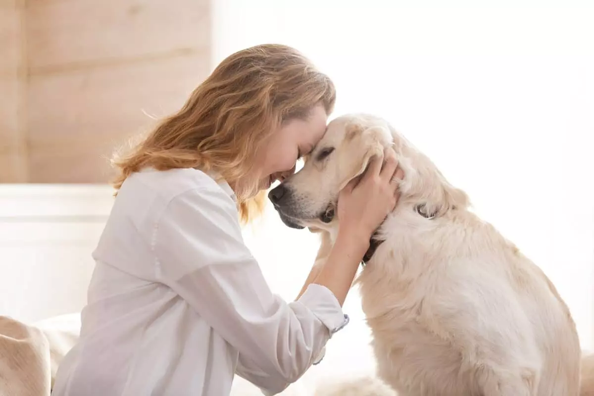Creare Ricordi Indelebili con il Tuo Animale Domestico: Una Guida Annuale