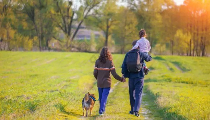 Guida all'Addestramento Canino Notturno: Migliorare l'Attenzione e la Calma