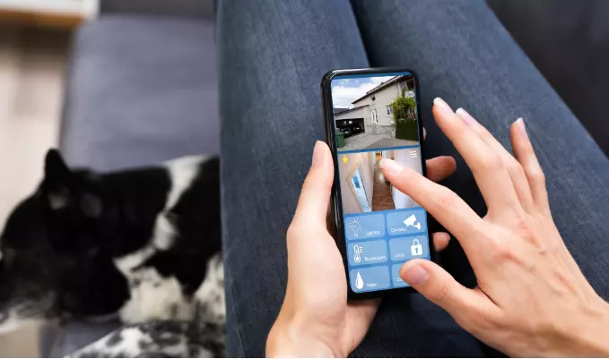 Rivoluzione nell'Addestramento Canino: L'Integrazione di Tecnologia e Apprendimento