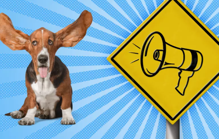 La Sensibilità Uditive Canina: Comprendere il Mondo Sonoro dei Nostri Amici a Quattro Zampe