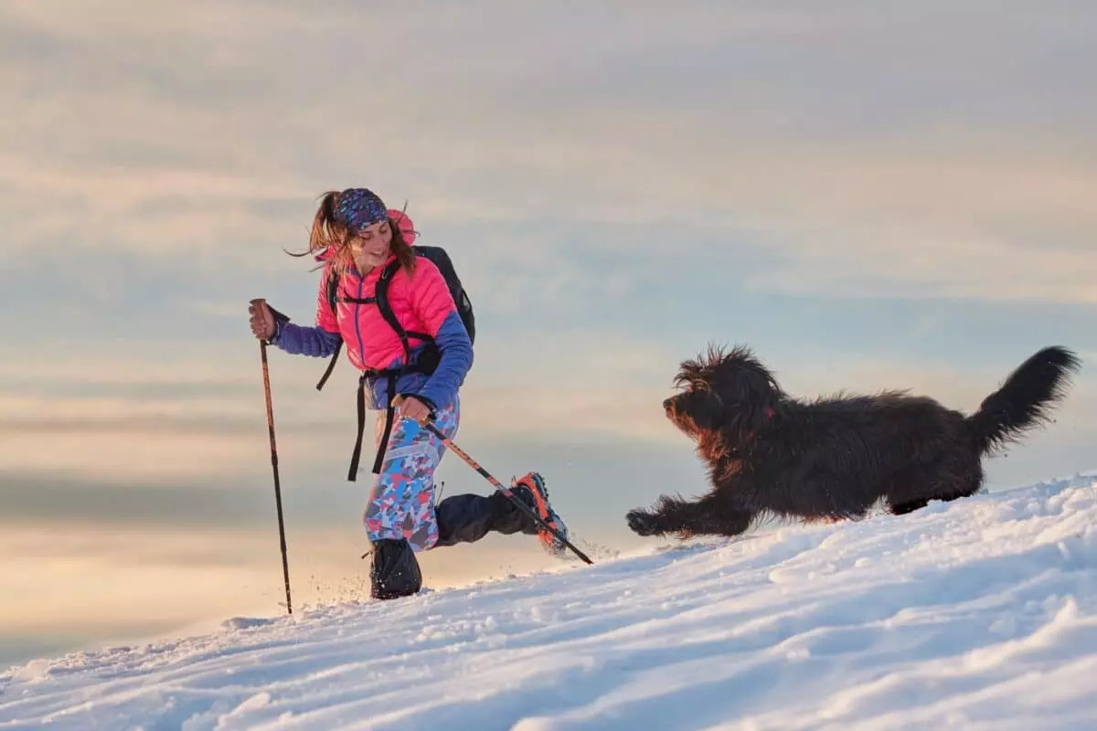 Trekking Invernale con il Cane: Guida Sicura
