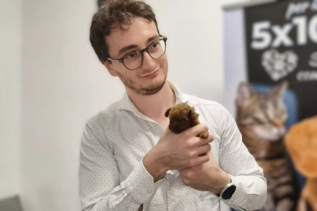 Il Tecnico Veterinario: Un Ruolo Chiave e in Crescita per l'Assistenza Animale