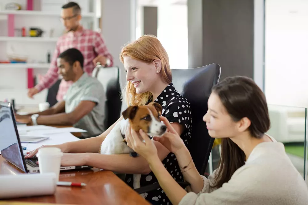 La Giornata del Cane in Ufficio: Meno Stress e Più Benessere con il Tuo Compagno Fedele