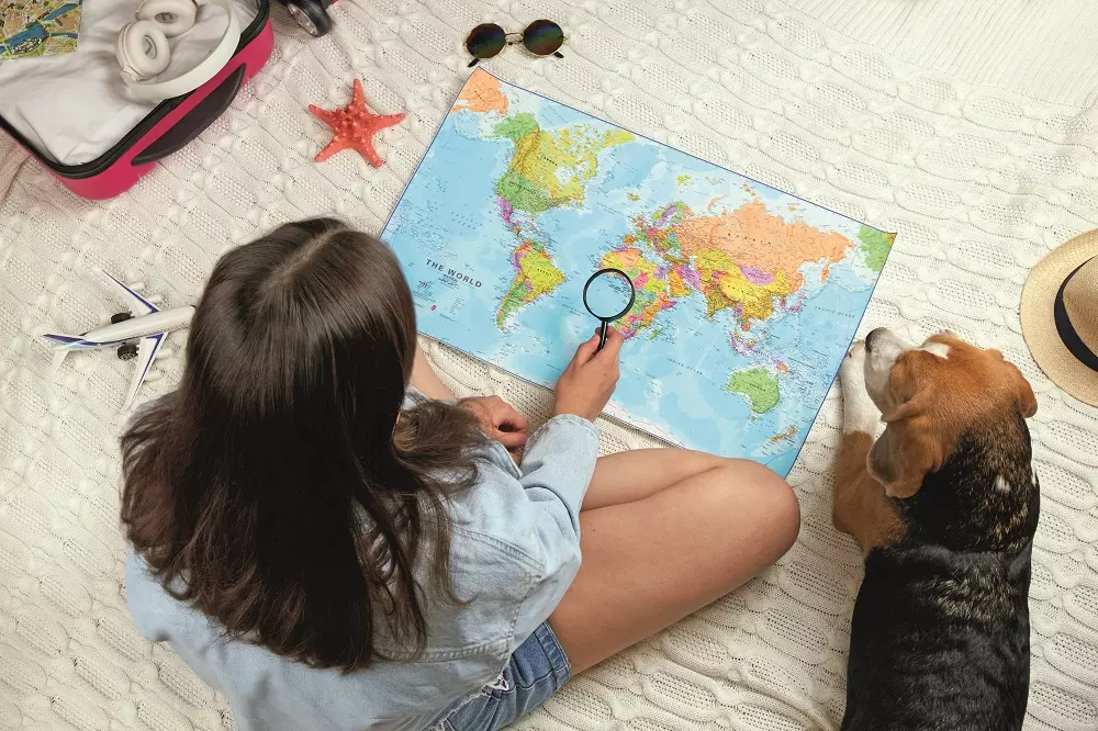 Consigli Fondamentali per Viaggi Senza Stress con i Tuoi Amici a Quattro Zampe