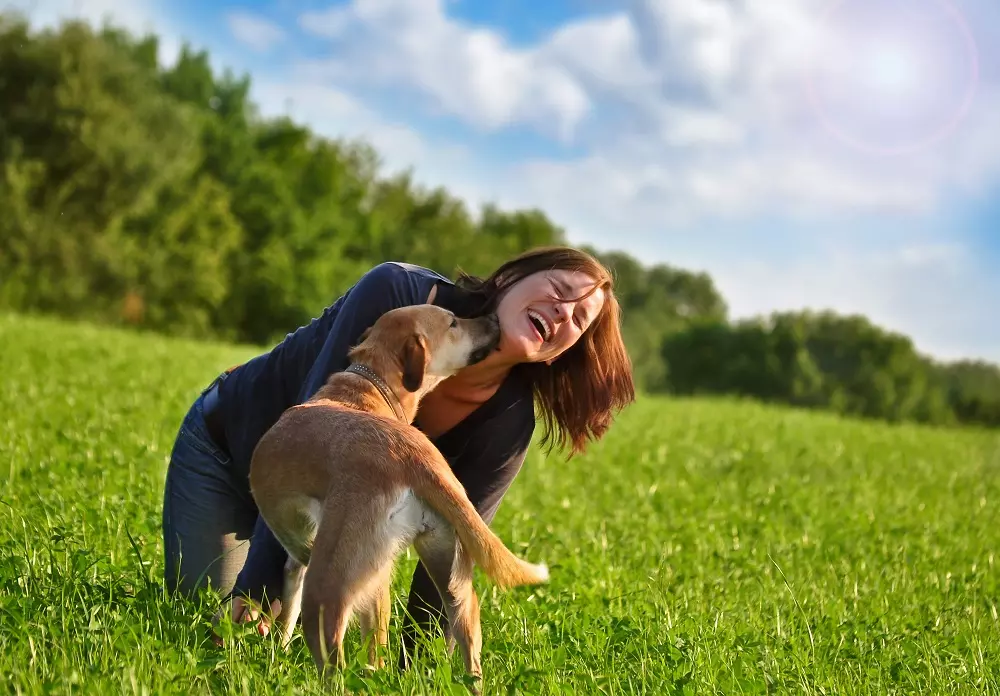 Celebrare il Giorno del Cane: Idee e Significato di un Legame Unico