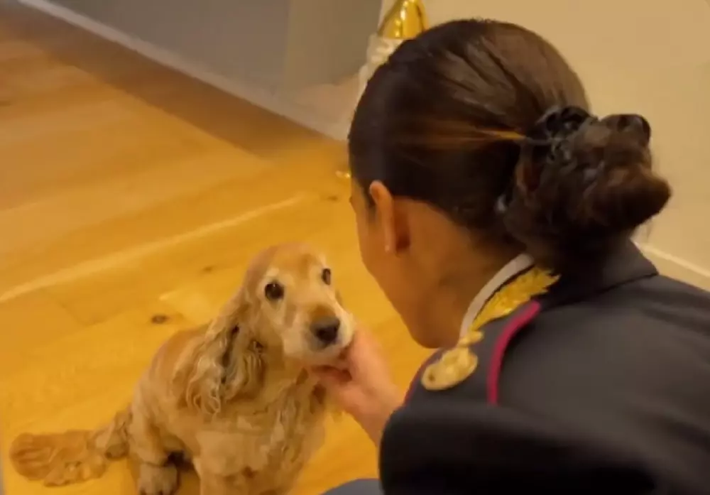 La Polizia di Stato e Joy contro l'abbandono degli animali: un legame indissolubile