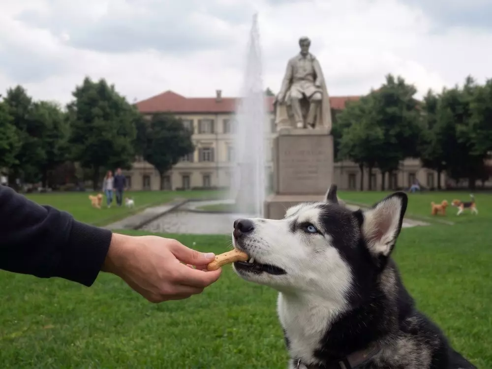 L'importanza di una nutrizione personalizzata e snack salutari per il benessere dei cani