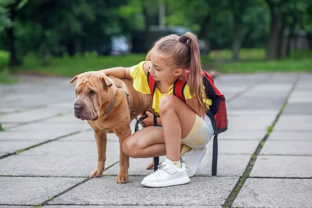 L'Educazione all'Accudimento Animale: Un Nuovo Approccio Pedagocico nelle Scuole Francesi