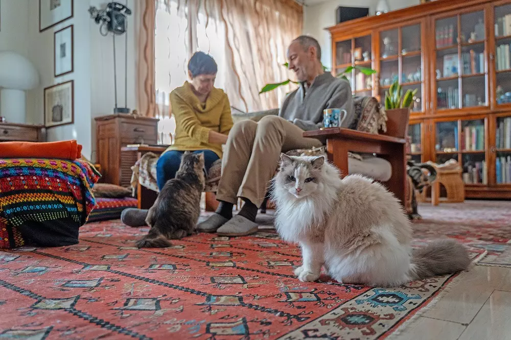 Un Legame Profondo: Laura e Daniele, i Loro Gatti e l'Impegno per il Futuro Animale